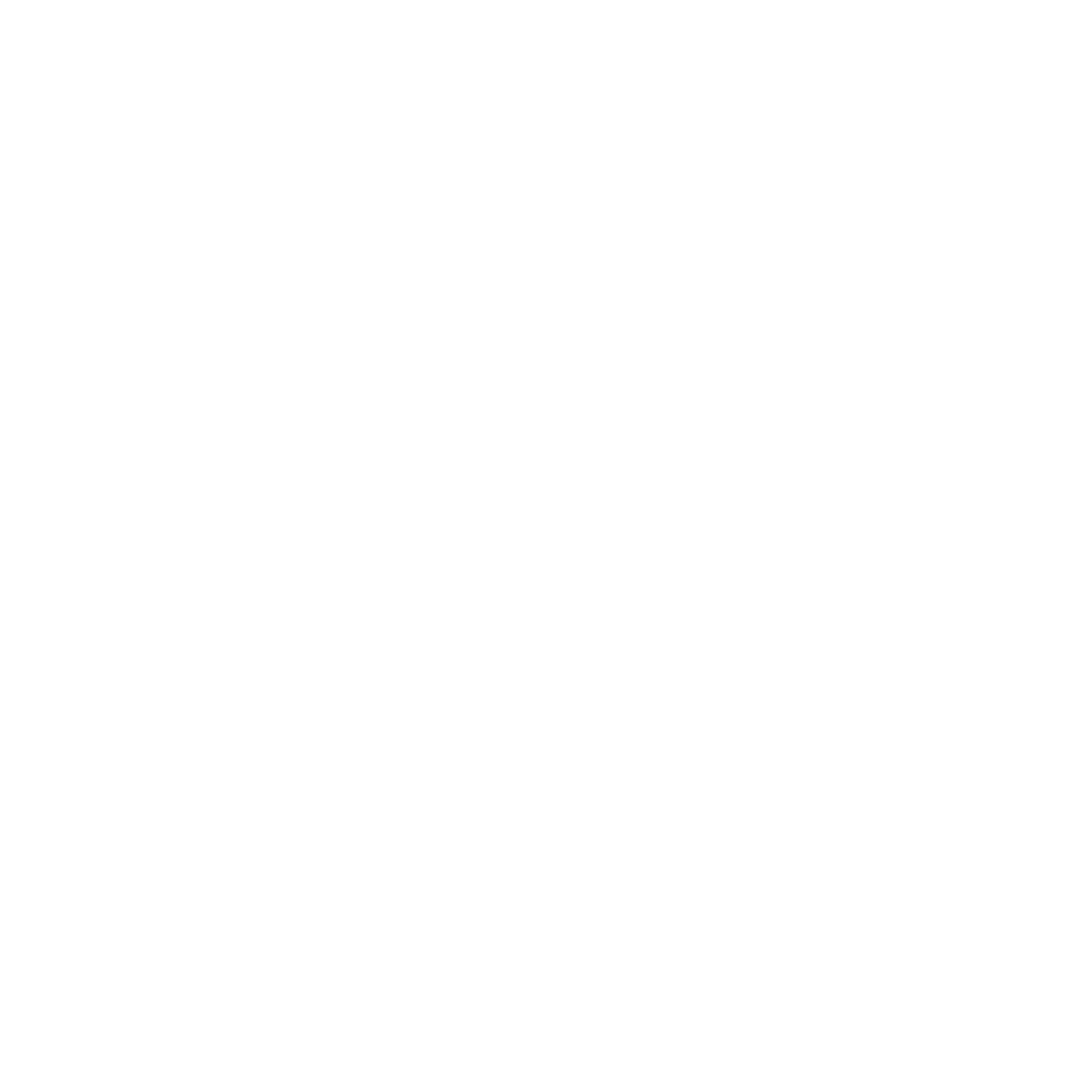 Rogue Drones Logo